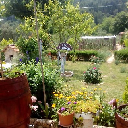 Appartamento Apartman Rosa Skradin Esterno foto