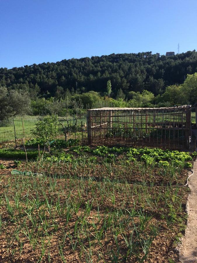 Appartamento Apartman Rosa Skradin Esterno foto