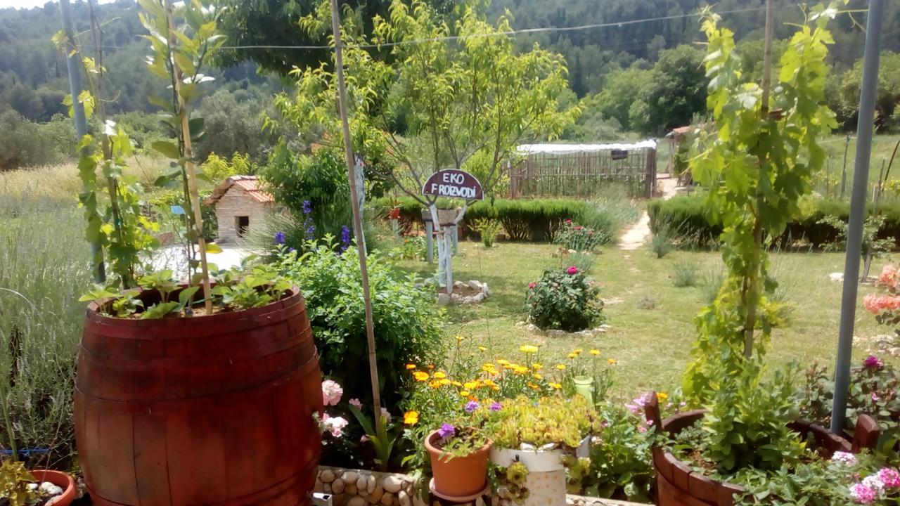 Appartamento Apartman Rosa Skradin Esterno foto