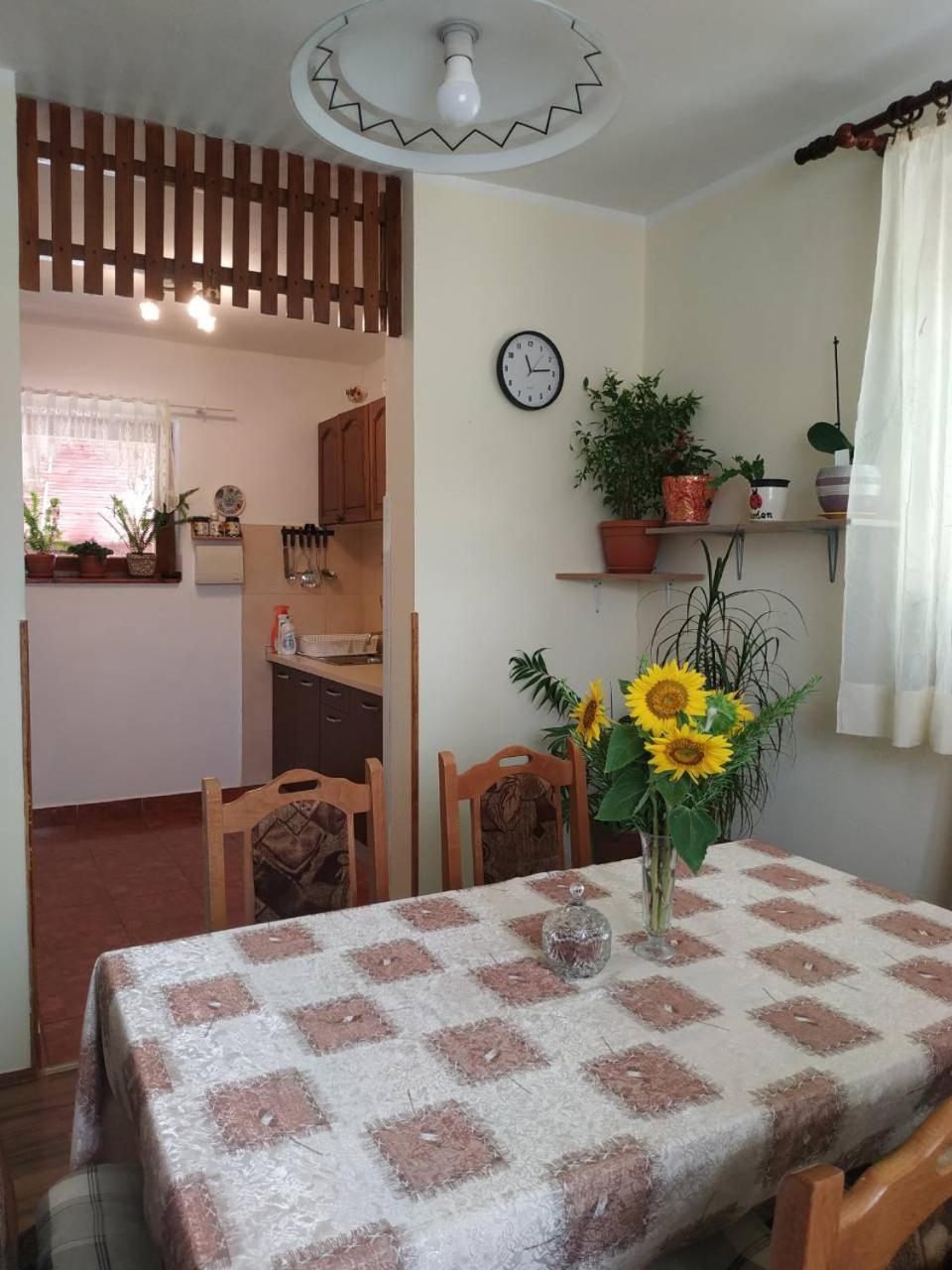Appartamento Apartman Rosa Skradin Esterno foto